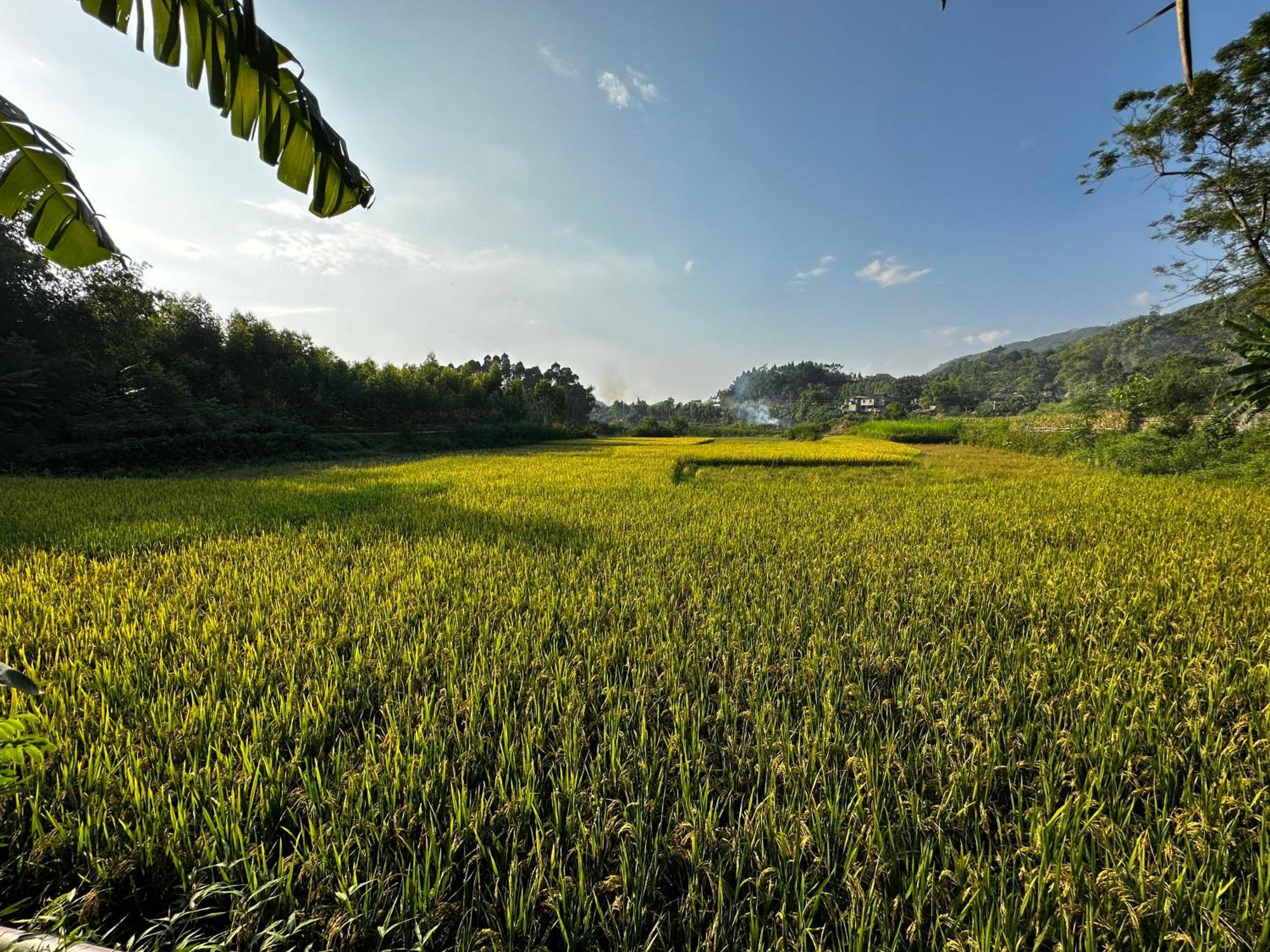 Vulinh Family -Homestay Yen Binh Экстерьер фото